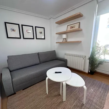 Atuairehome Balcon A La Puebla 38 Con Parking Incluido Burgo